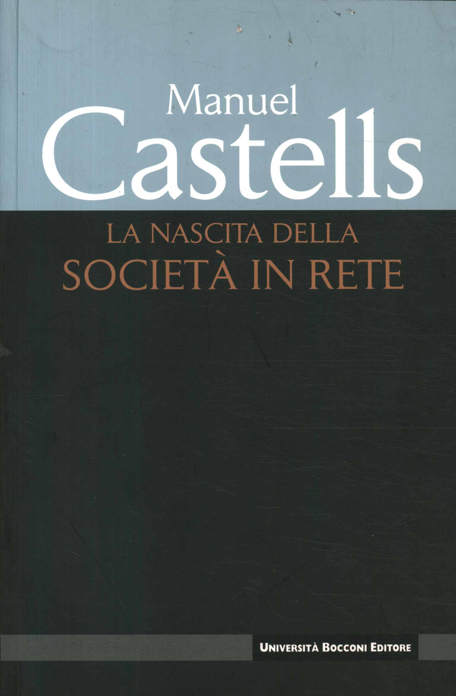 La nascita della società in rete