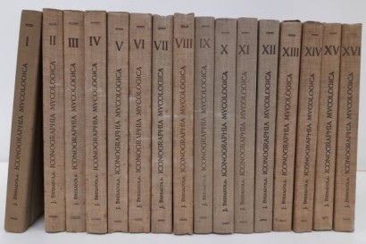 Iconographia mycologica voll.I-XXVIII,Iconographia mycologica voll.I-XXVIII,Iconographia mycologica voll.I-XXVIII,Iconographia mycologica voll.I-XXVIII,Iconographia mycologica voll.I-XXVIII,Iconographia mycologica voll.I-XXVIII,Iconographia mycologica vols.I-XXVIII, Iconographia mycologica vols.I-XXVIII