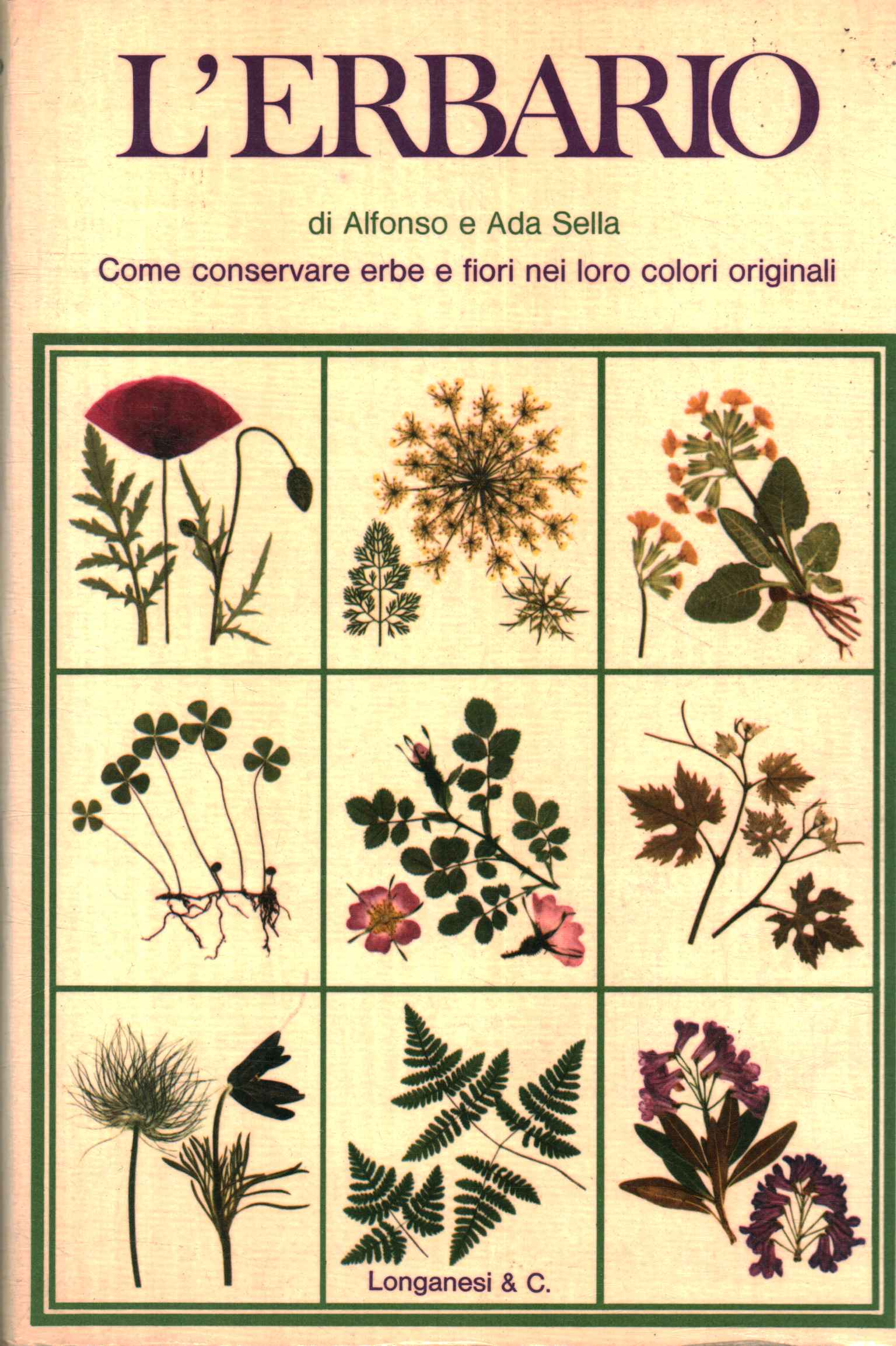 The herbarium