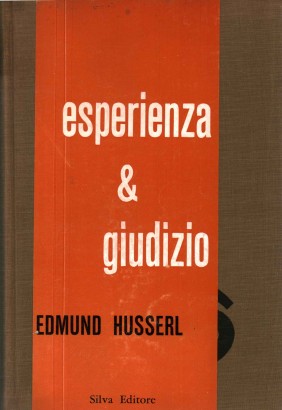 Esperienza e giudizio