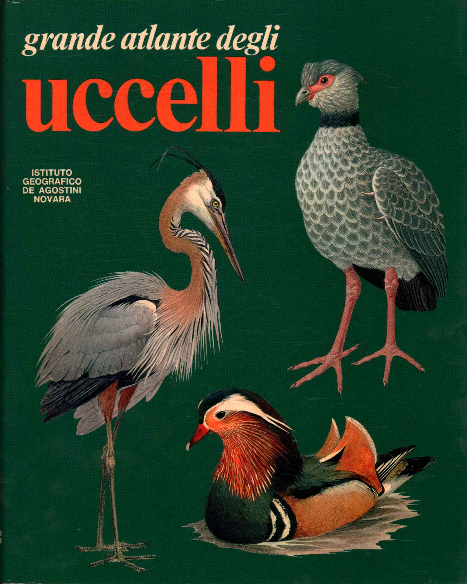 Grande atlante degli uccelli