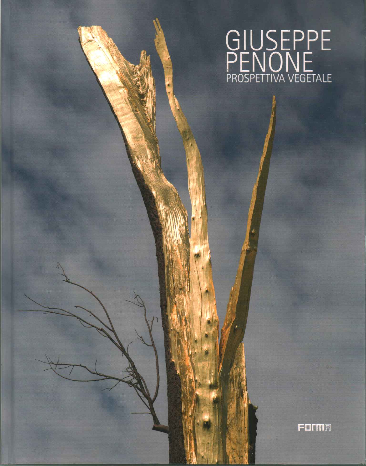 Giuseppe Penone. Point de vue des plantes