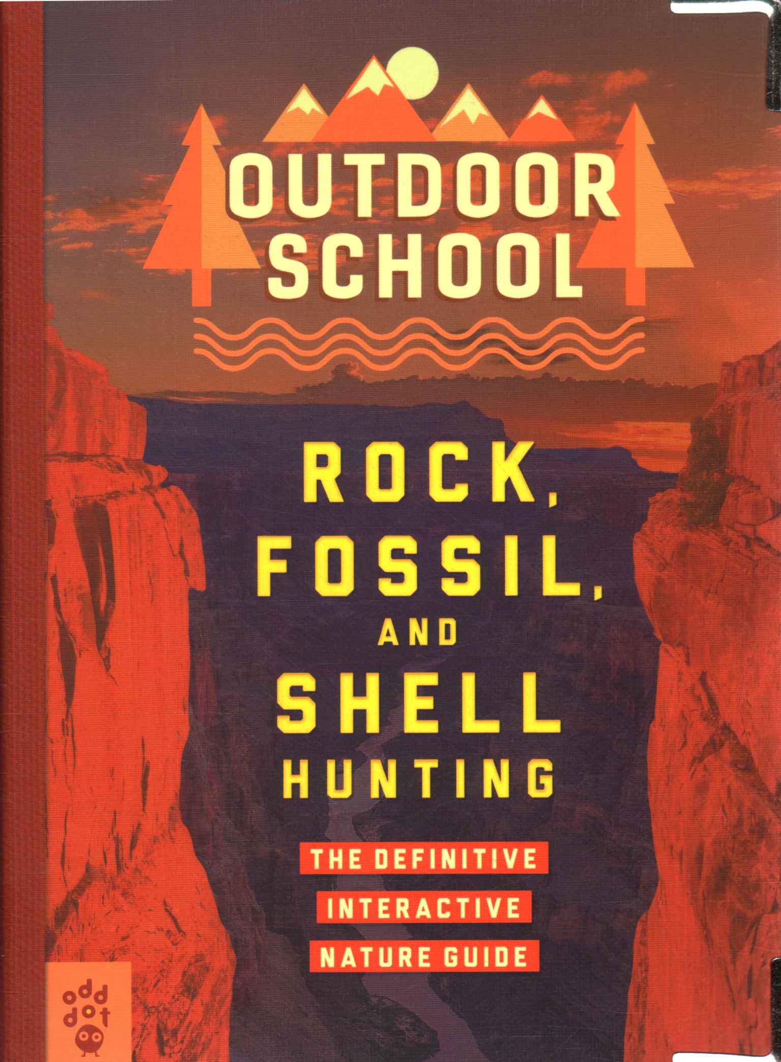 Rock Fossil and Shell Hunting