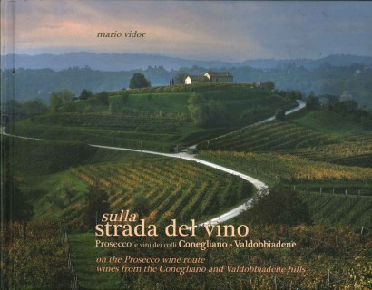 Sulla strada del vino