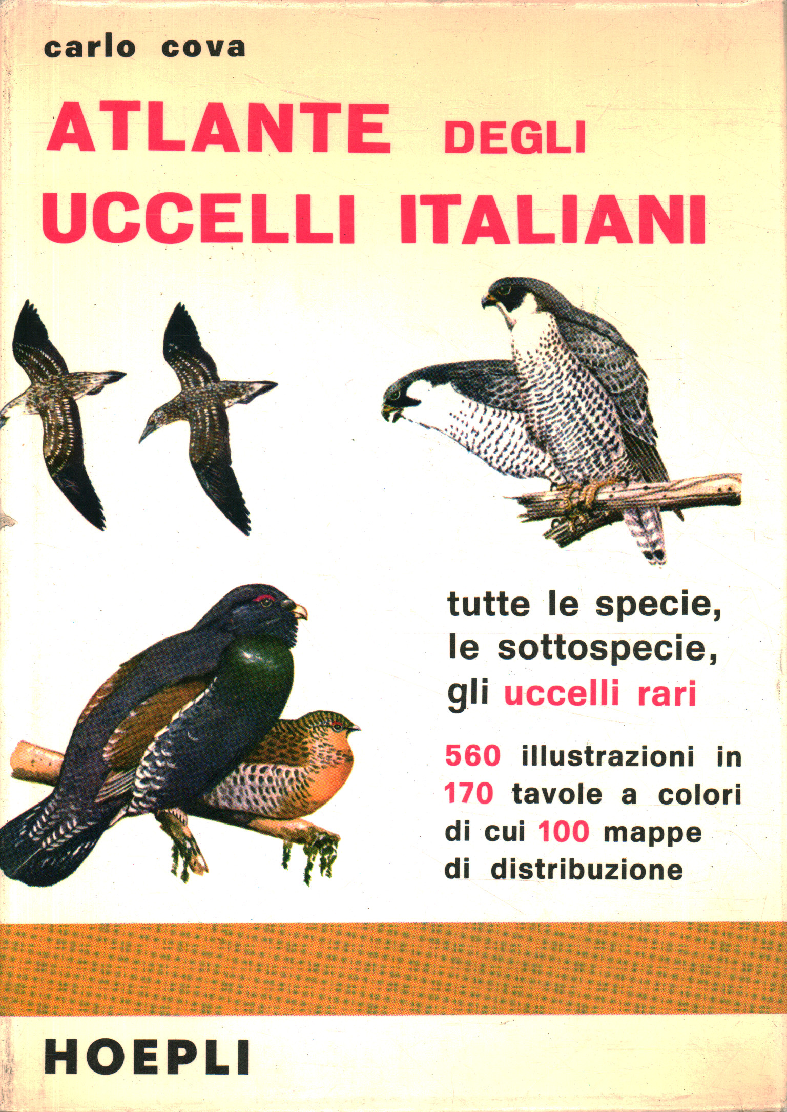 Atlas der italienischen Vögel