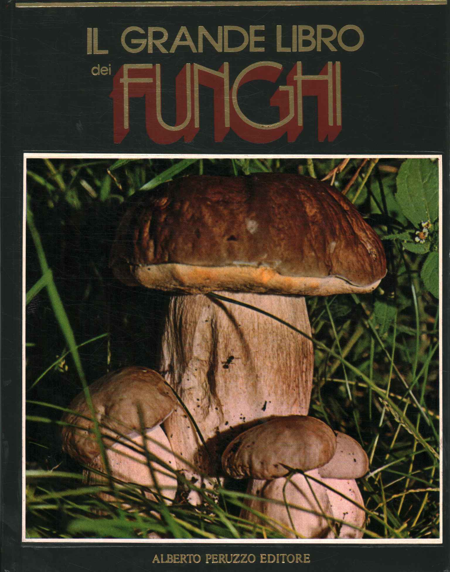 Le Grand Livre des Champignons