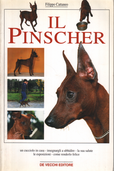 Il Pinscher, Filippo Cattaneo