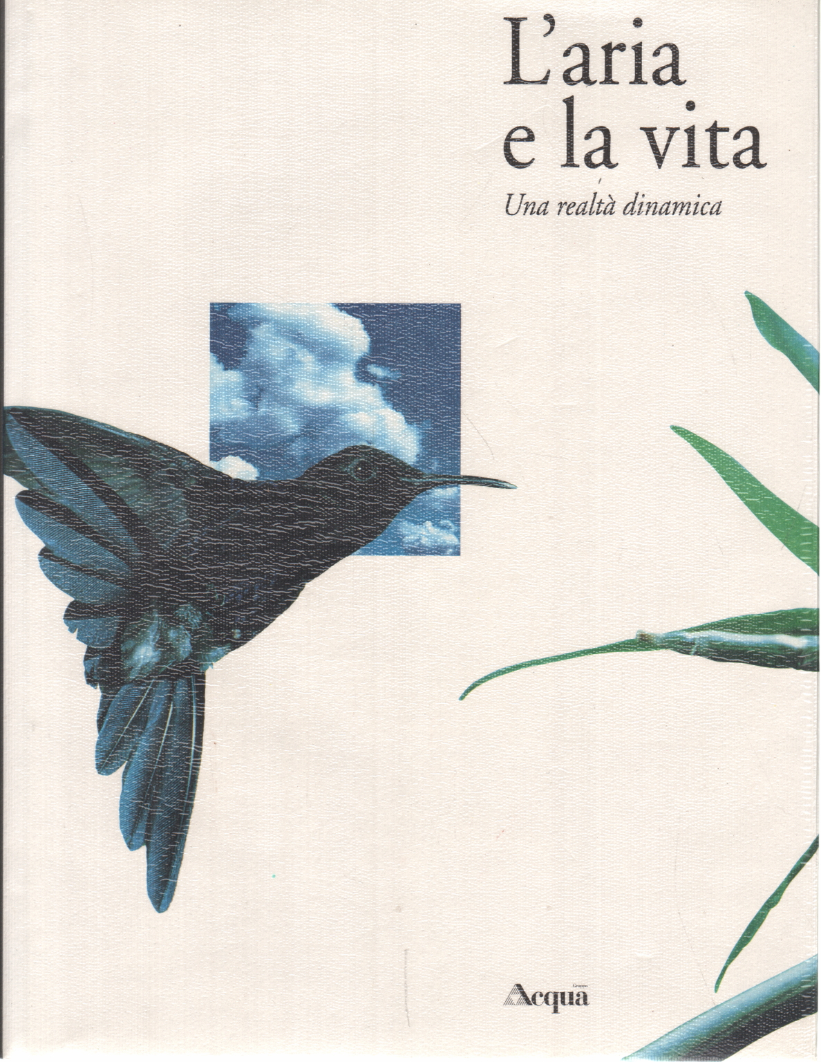 L'aria e la vita, Francesco Soletti