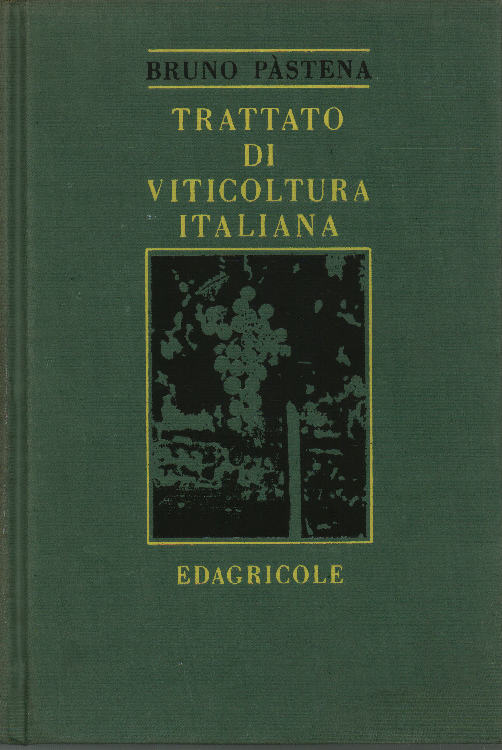 Traité de la viticulture italienne, s.a.