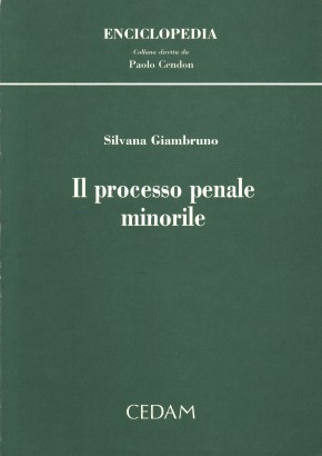 Il processo penale minorile