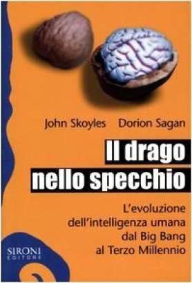 Il drago nello specchio