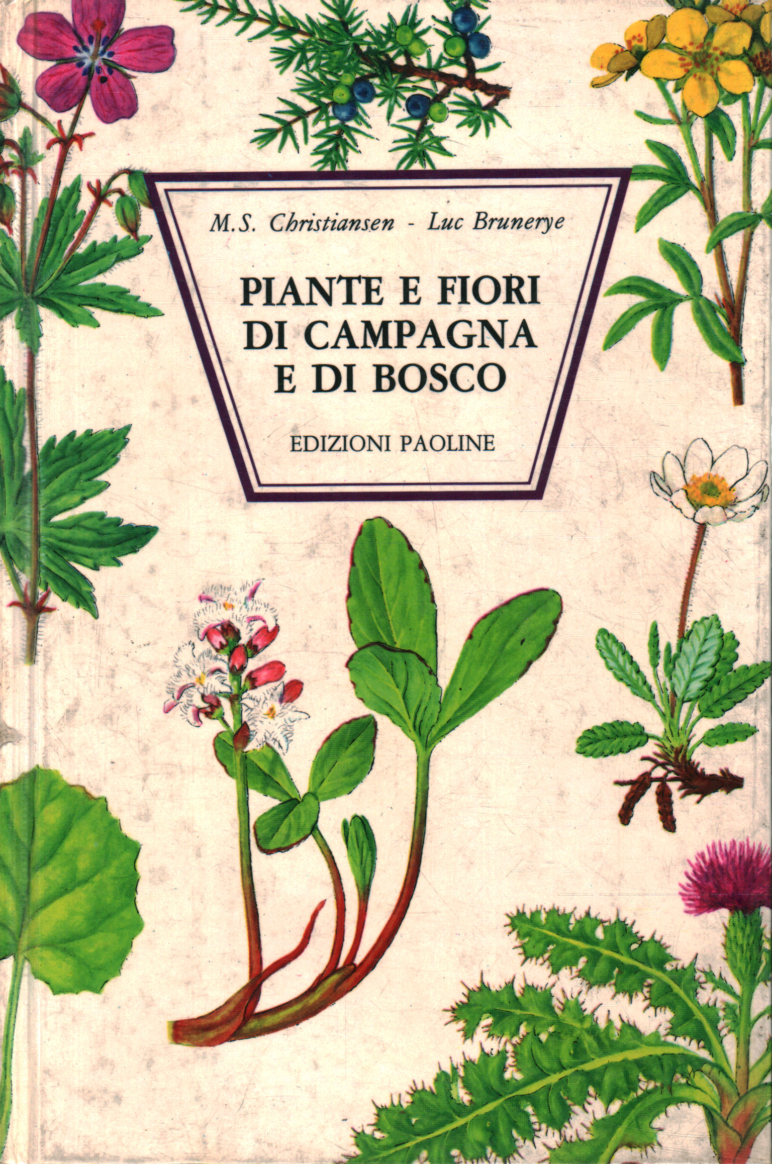 Plantes et fleurs de la campagne et des bois