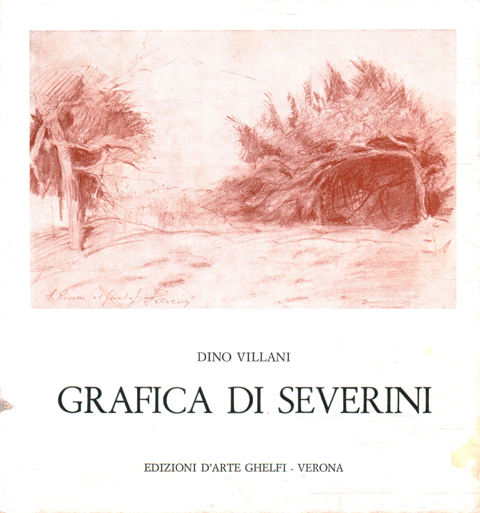 Grafica di Federico Severini