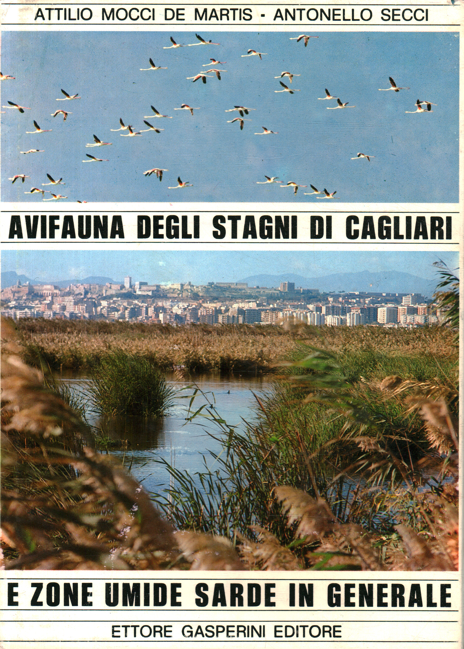 Avifauna de los estanques de Cagliari y zo