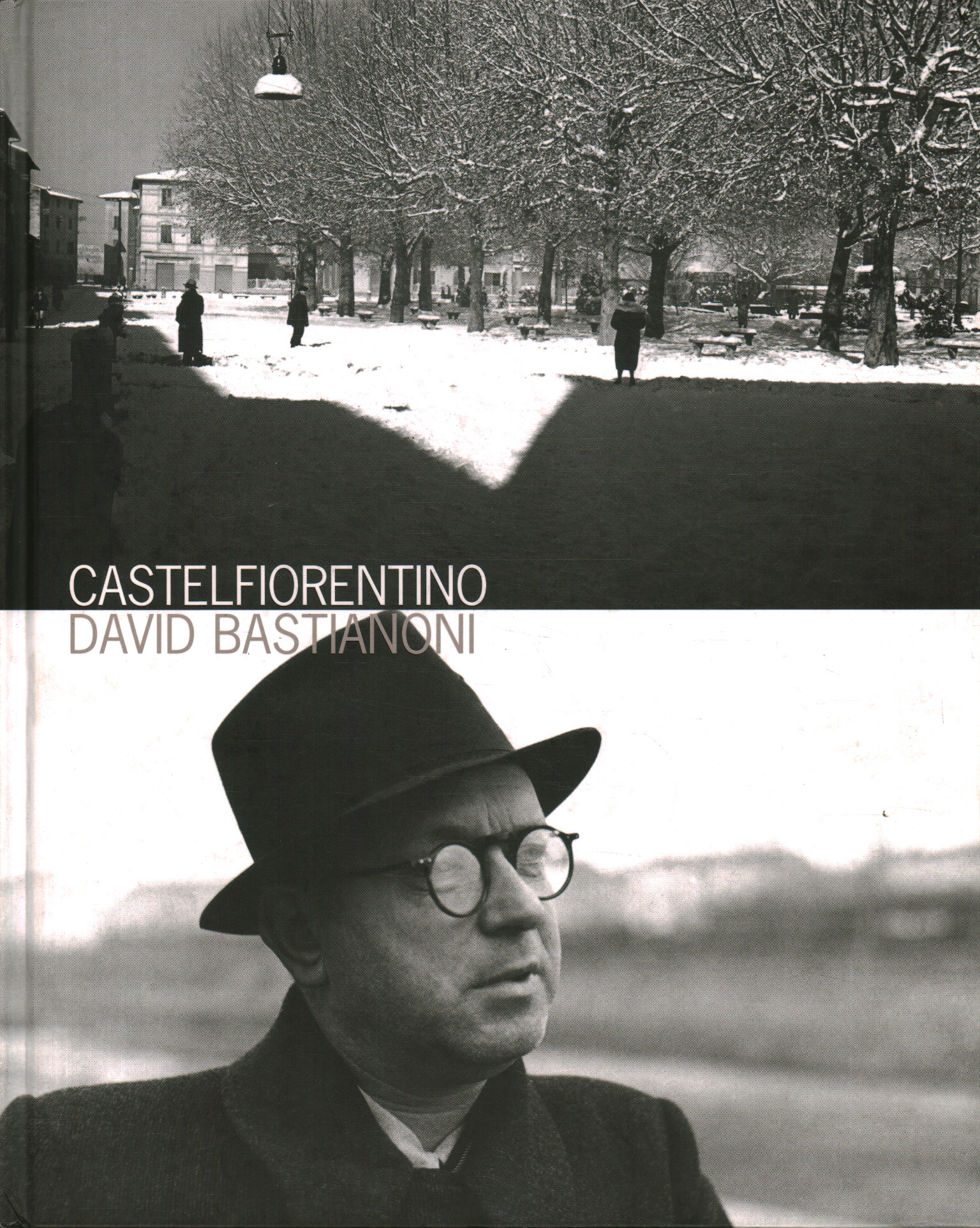 Castelfiorentino. David Bastienoni