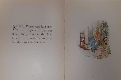 Histoire de Pierre Lapin